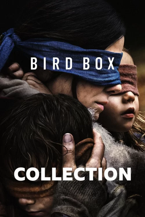 Bird Box Collection
